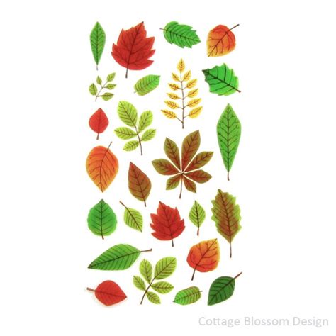 Autumn Leaf Stickers Darice Sticko Elegant Fall Leaves Etsy