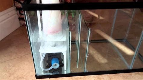 How To Setup A 10 Gallon Nano Reef Tank Diy Sump Sca 301 Protein