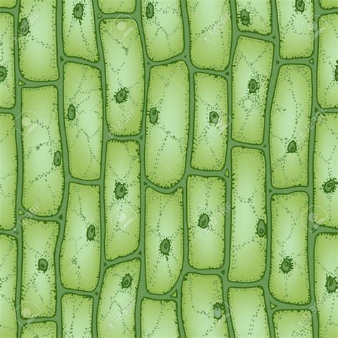 Green Plant Cells Under Microscope Seamless Vector Pattern