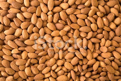 Shelled Almonds Stock Photo Royalty Free Freeimages