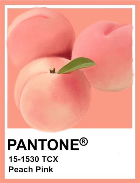 Peach Pink Pantone Peach Color Palettes Peach Aesthetic Peach Art