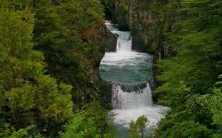 Nature Landscape Chile Forest River Waterfall Canyon Shrubs