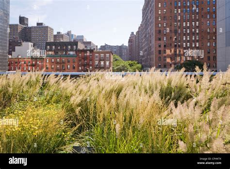 Views Of The High Line Park New York City Stock Photo Alamy
