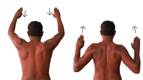 Super Easy Exercises For Winging Of Scapula Correction