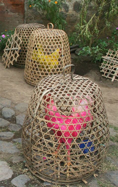 Cockfighting Roosters In Bali In Bamboo Cages Travel Photo By Katja Presnal Decoration Piece