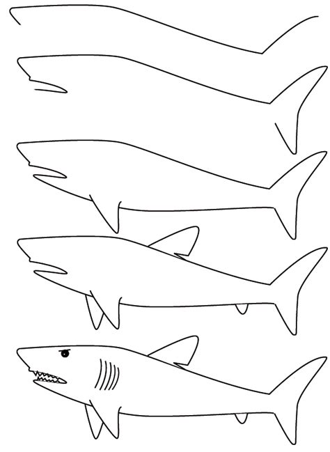 All steps are clearly explained. Drawing shark