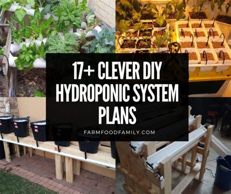 17 Clever Diy Hydroponic System Plans And Designs For Beginners 2024