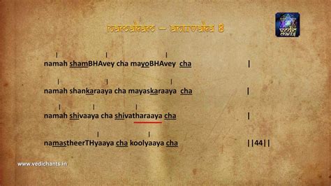 Chanting Vedic Chants Sri Rudra Namakam Anuvaka 8 Verse 44