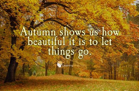 Autumn Shows Us How Beautiful It Is To Let Things Go Learning Mind