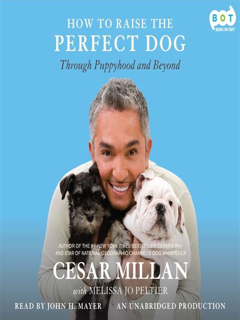 How To Raise The Perfect Dog San Francisco Public Library Overdrive
