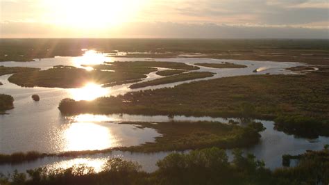 Gorgeous Everglades Swamp At Sunset Aerial Drone Florida Stock Video