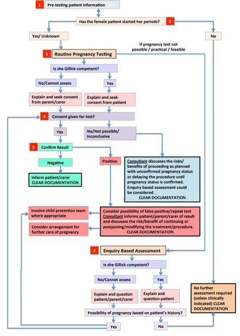 Pregnancy Testing Guidelines For Girls Aged 12 Yrs And Over Rhc