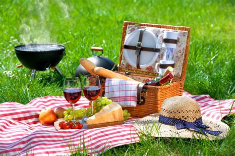Top Picnic Cookbooks Give Tips For Easy French Style Food