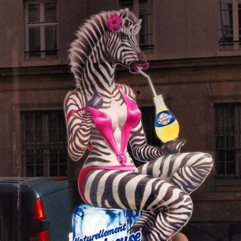 sexy zebra