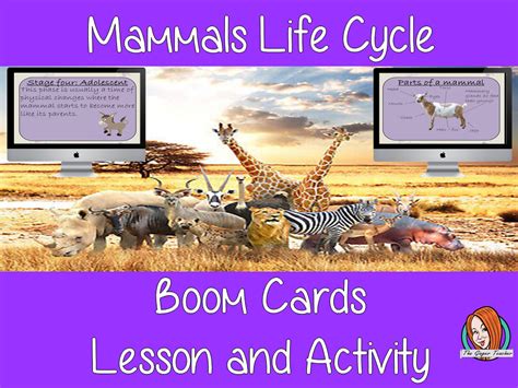 Mammals Life Cycle Boom Cards Digital Lesson Teaching Resources