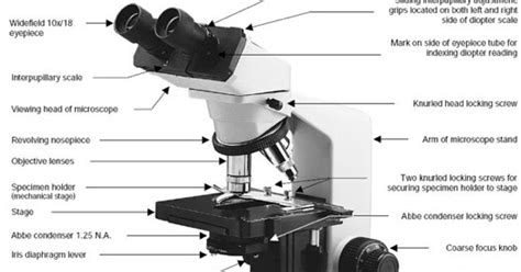 The optical parts of the microscope are used to view, magnify, and produce an image from a specimen placed on a slide. BIOLOGY FOR TECHNOLOGISTS' LABORATORY REPORTS: LAB 1 ...