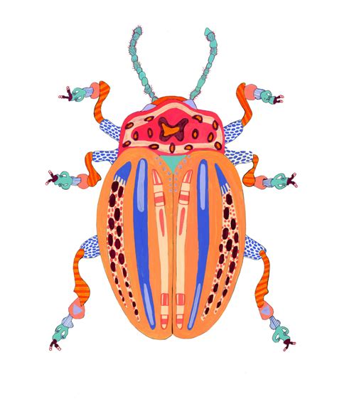 Beetles — Caroline Kaufman Studio Beetle Art Insect Art Bug Art