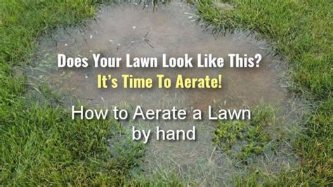 For small lawns or thatch less than 1 inch thick, consider removing thatch with a rake. When Do You Aerate Your Lawn | TcWorks.Org