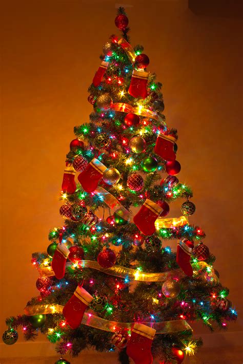 Filey Christmas Tree 2 Wikipedia The Free Encyclopedia