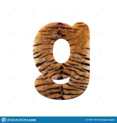 A Letra G Do Tigre Fonte Felino Pequena Da Pele 3d Apropriada Para