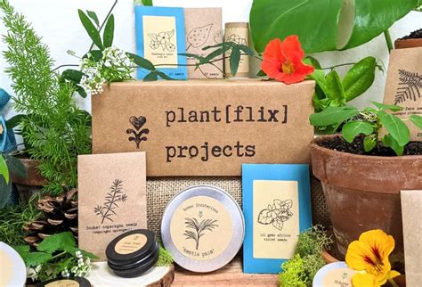 Top 10 Unique Indoor Plant Subscription Boxes To Try Toptrusreview