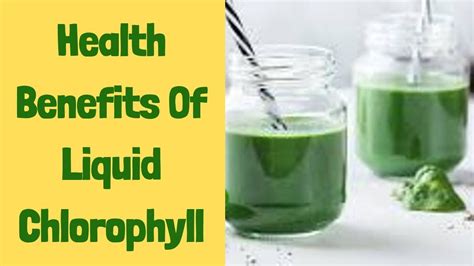 Top 9 Benefits Of Liquid Chlorophyll Chlorophyll Benefits Youtube