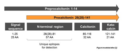 Pros And Cons Of Procalcitonin — Taming The Sru