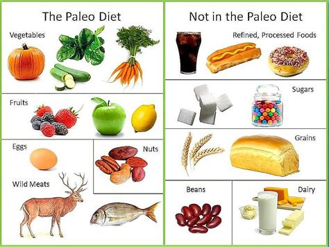 Simple Definition Of Paleo Paleo Food List Caveman Diet Paleolithic