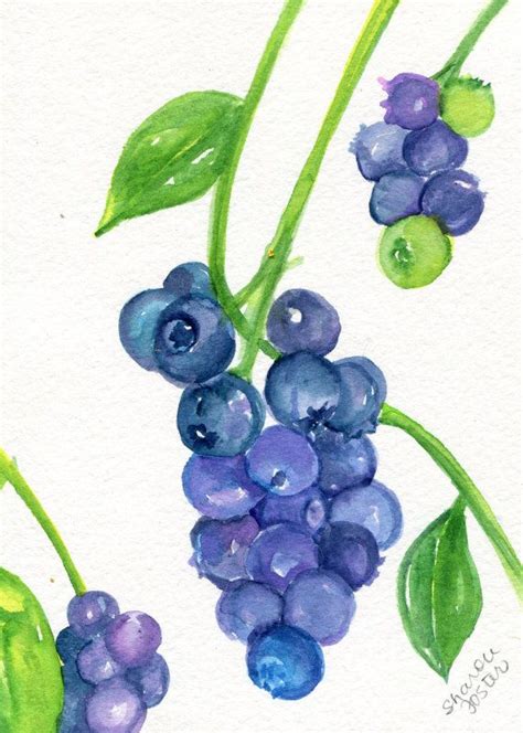 Blueberries Watercolor Painting Original Small Fruit Food Etsy