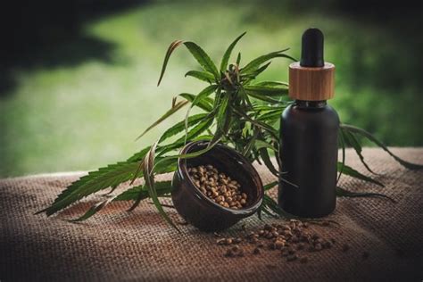 What Is Cbd Cannabidiol Everything You Need To Know Uplarn