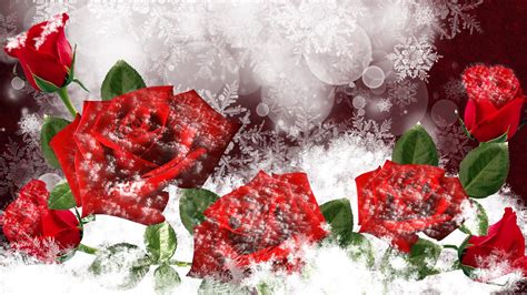 Wonderful Red Frozen Roses Hd Winter Wallpaper