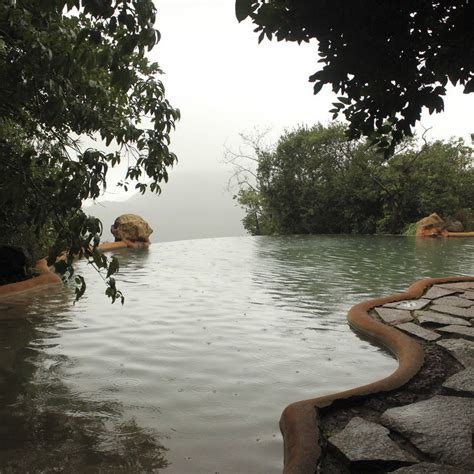 Stay At The Wildernest Nature Resort In Goa Lbb