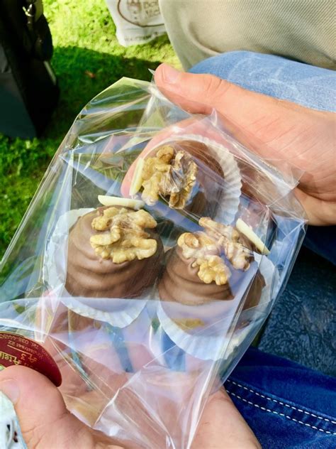 Das ist sicherlich auch ein grund, warum holland ein so beliebtes urlaubsziel, vor allem von deutschen touristen, ist. Giethoorn Niederlande: Venedig des Nordens oder... Tipps ...