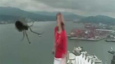 huge spider scares newscaster tv blooper america s funniest viral videos youtube