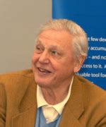 To celebrate the 91st birthday of david attenborough, we took a look at some of the varied species that bear his name. Missbräuchliche Zitate in der Wachtturmliteratur