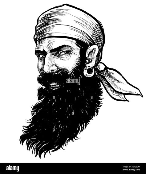 Bearded Pirate Character Ink Black And White Drawing Stock Photo Alamy