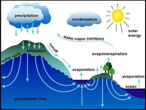 Water Cycle The Simplest Topic In Igcse Biology And Now Removed From