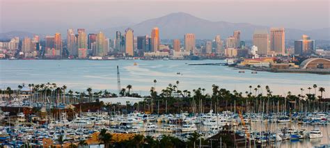 This zoological park and the san diego zoo are both run by the nonprofit san diego zoo wildlife alliance. City of San Diego Debuts Financial Transparency Platform ...