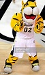 Towson Mascot Photos and Premium High Res Pictures - Getty Images