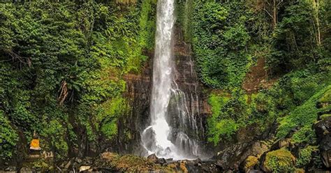 Gitgit Waterfall Bali Visitor Guide And Things You Need To Know