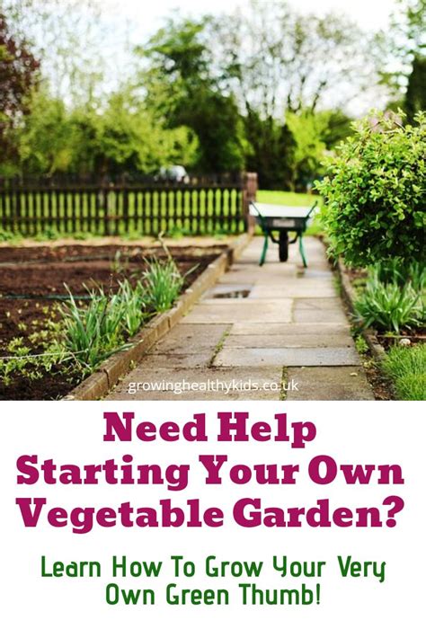 Wish You Could Grow Your Own Vegetable Garden In Just A Few Short
