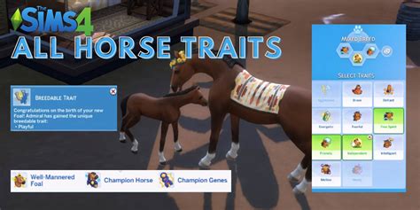 The Sims 4 Horse Ranch All Horse Traits And How They Affect Gameplay