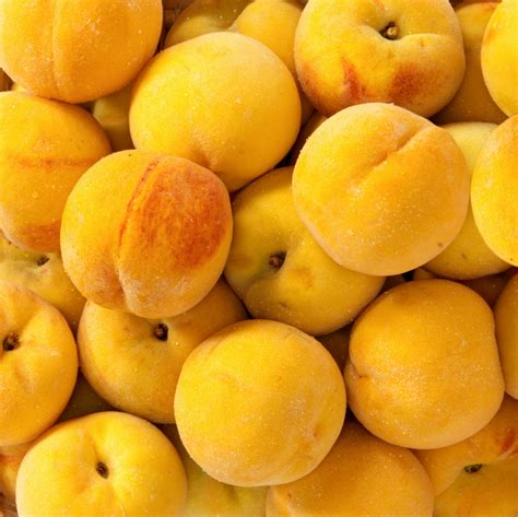 Pick Of The Week Golden Queen Peaches Harris Farm Markets