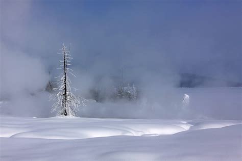 Winter In Yellowstone Winter Magic In Yellowstone More Flickr