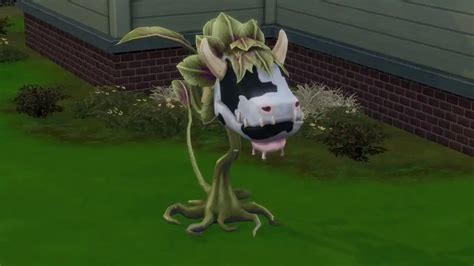 How To Get A Cow Plant In The Sims 4 Gamepur