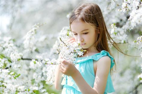 Прелестная маленькая девочка в зацветая саде вишни Стоковое Фото изображение насчитывающей