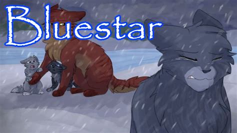 Bluestars Emotional Arc In Rising Storm Analyzing Warrior Cats Youtube