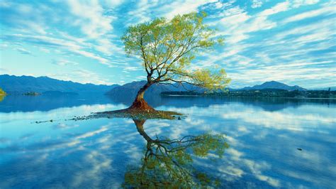 Wallpaper Landscape Nature Trees Clouds Sky Reflection Water