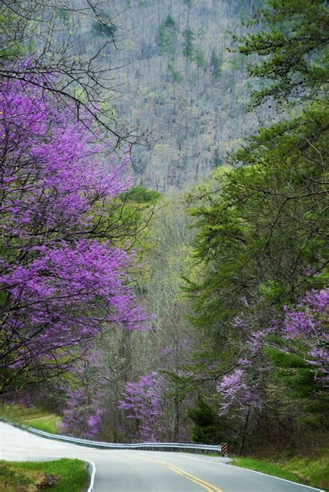 Spring In The Smoky Mountains Is A Beautiful Season To Visit Smoky