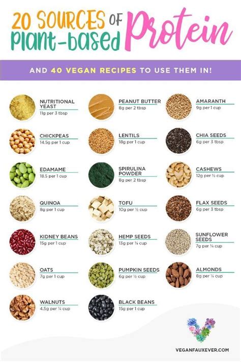 25 Best Vegan Protein Sources For Plant Based Diets Guide To Vegan